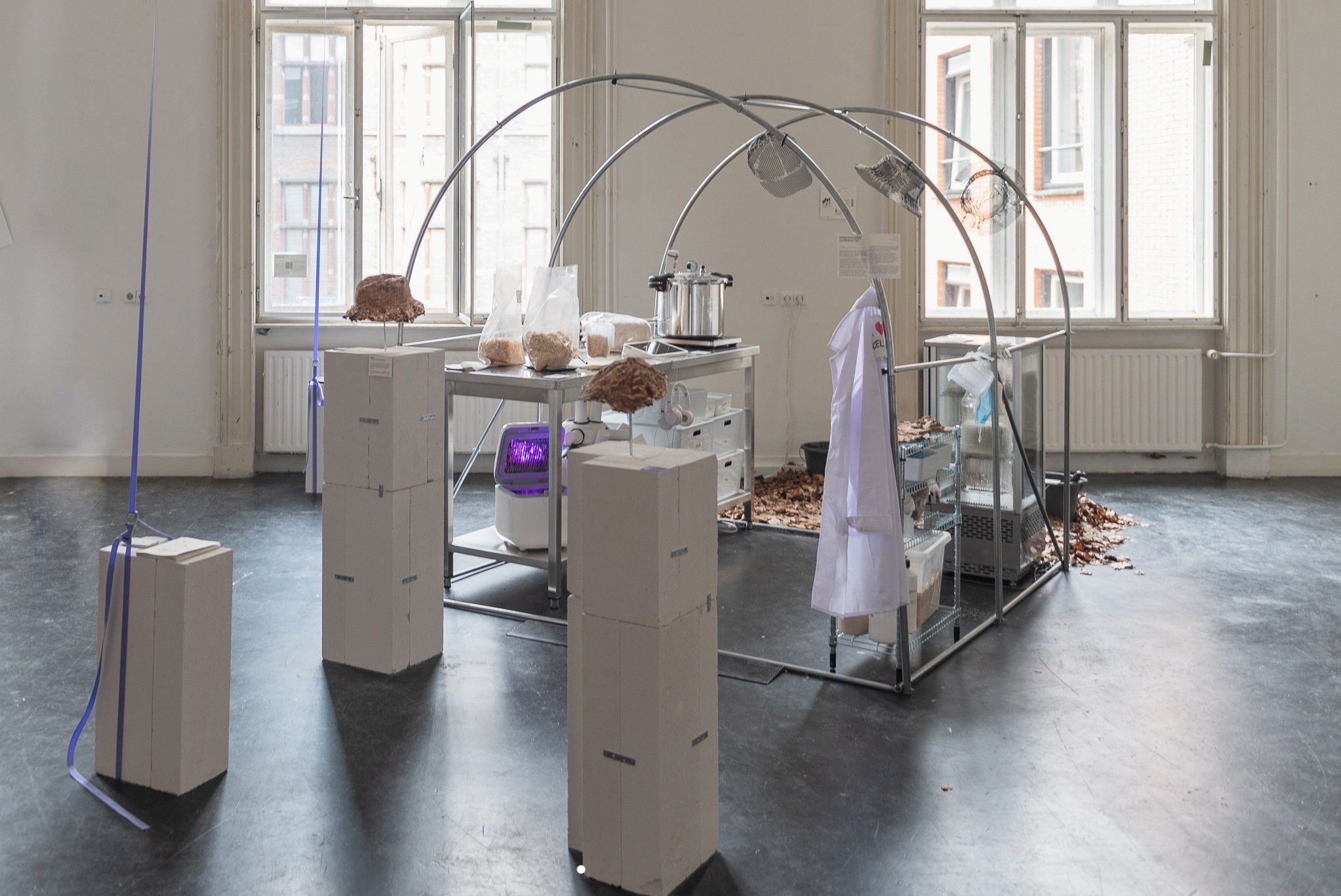 Greenhousing Saprophytes, graduation work 2025 by Moritz Plöns