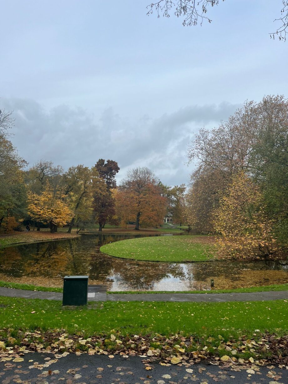 Whats App Image 2024 12 16 at 10 46 39