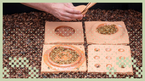 Online portfolio Industrial Design