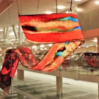 ArtScience alumna Nicky Assmann wins Witteveen+Bos Art+Technology Award 2020