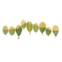 Anne Geene wins the Volkskrant Beeldende Kunst Prijs 2018