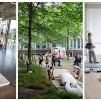 Graduation Show 2026