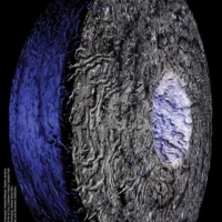 Which Way is Forward