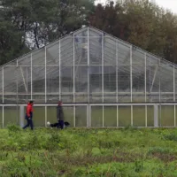 Walking (as a Method) in Artistic Research