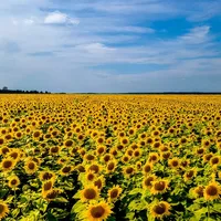 Support of Ukrainian and Russian community at KABK