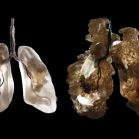 KABK alums at Dutch Design Week 2023