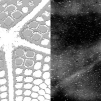 Open Day campaign 2025