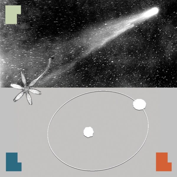 Meer studiekeuze-evenementen