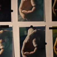 Head of Quality and Educational Development Office