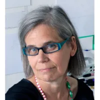 Lily van der Stokker