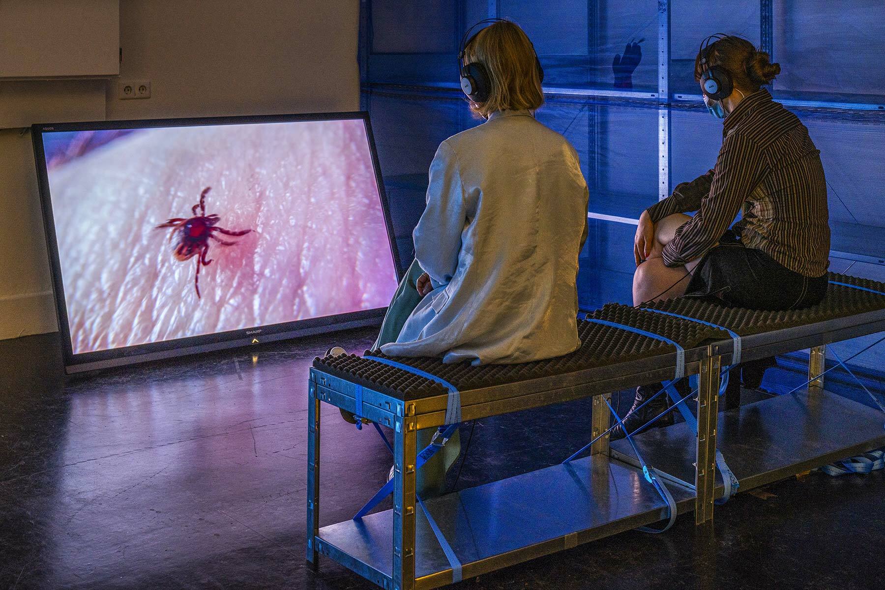 Dario Di Paolantonio - The Blind Point, NLN 2021