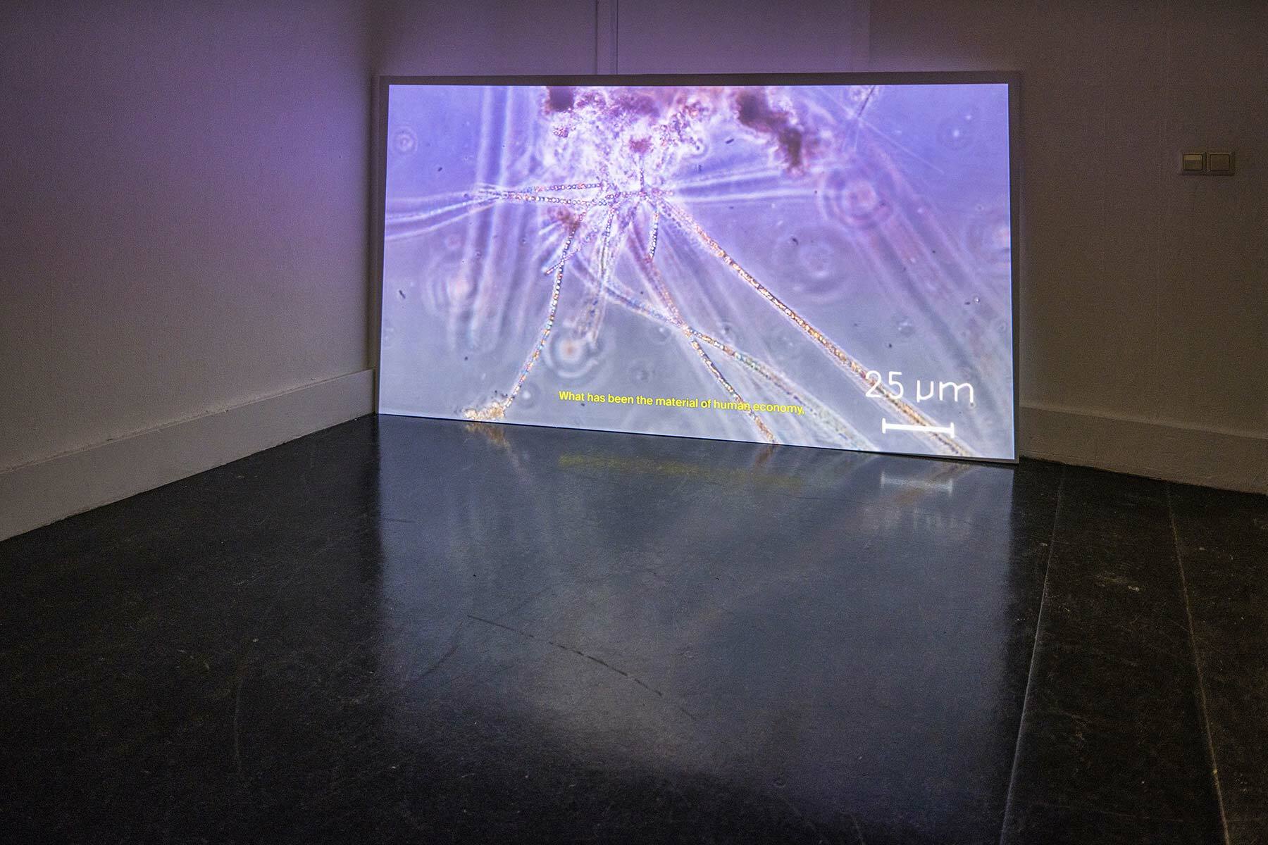 Wizura, NLN Graduation project 2020-2021 by Marcin Liminowicz