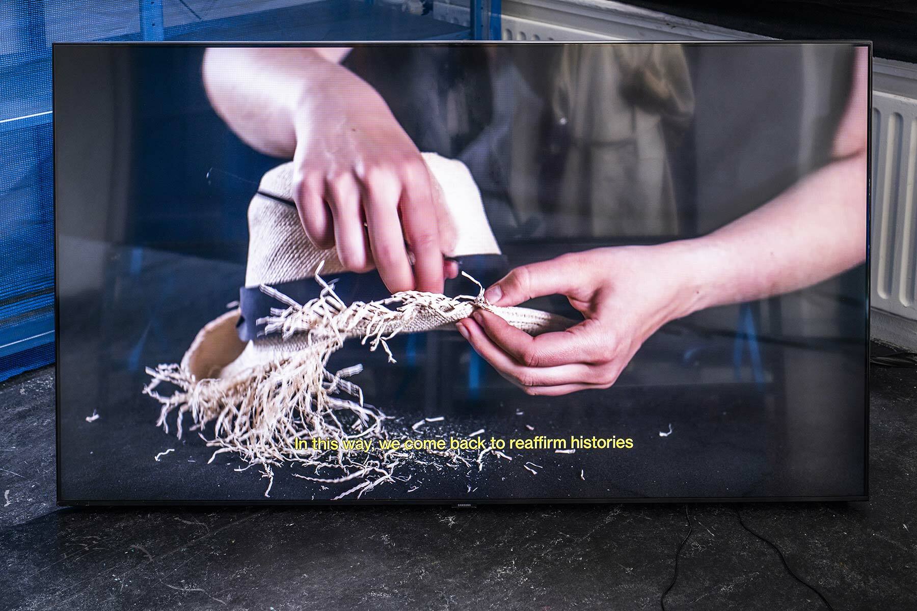 Beyond Taxonomic Narratives, NLN Graduation project 2020-2021 by Natalia Śliwińska