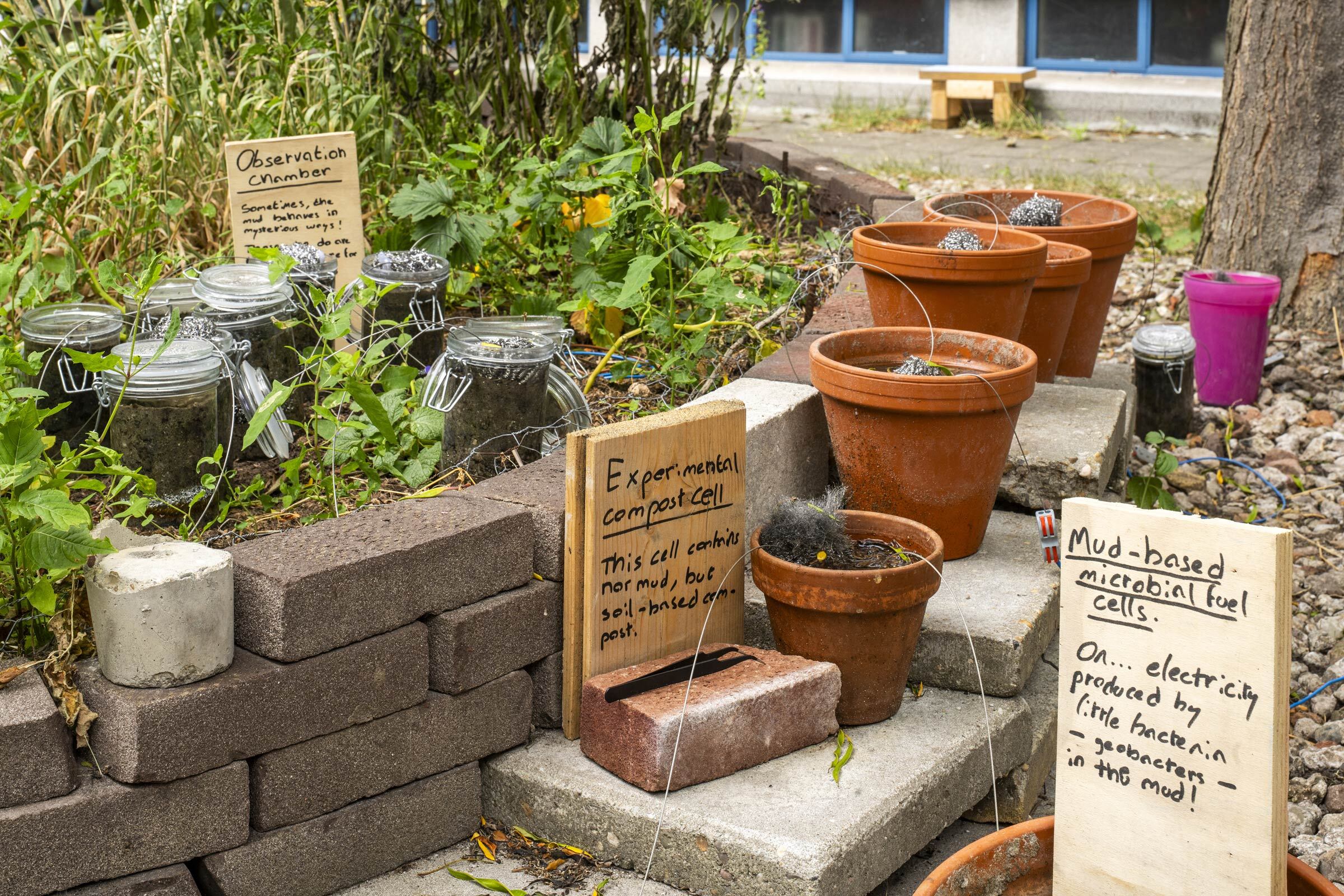 Rodrigo Cardoso - Decaying Data