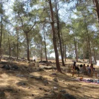 Nieuw platform voor samenwerking in onderzoek