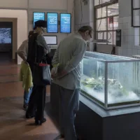 Review: My Practice, My Politics Milaan 2018